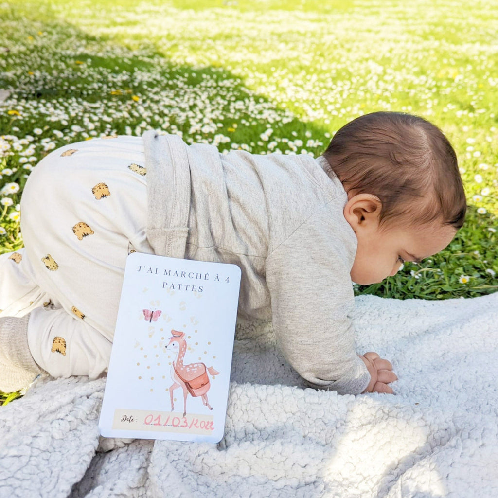 COFFRET DE 50 CARTES ILLUSTRÉES MES PREMIERES FOIS - Bébé Nido